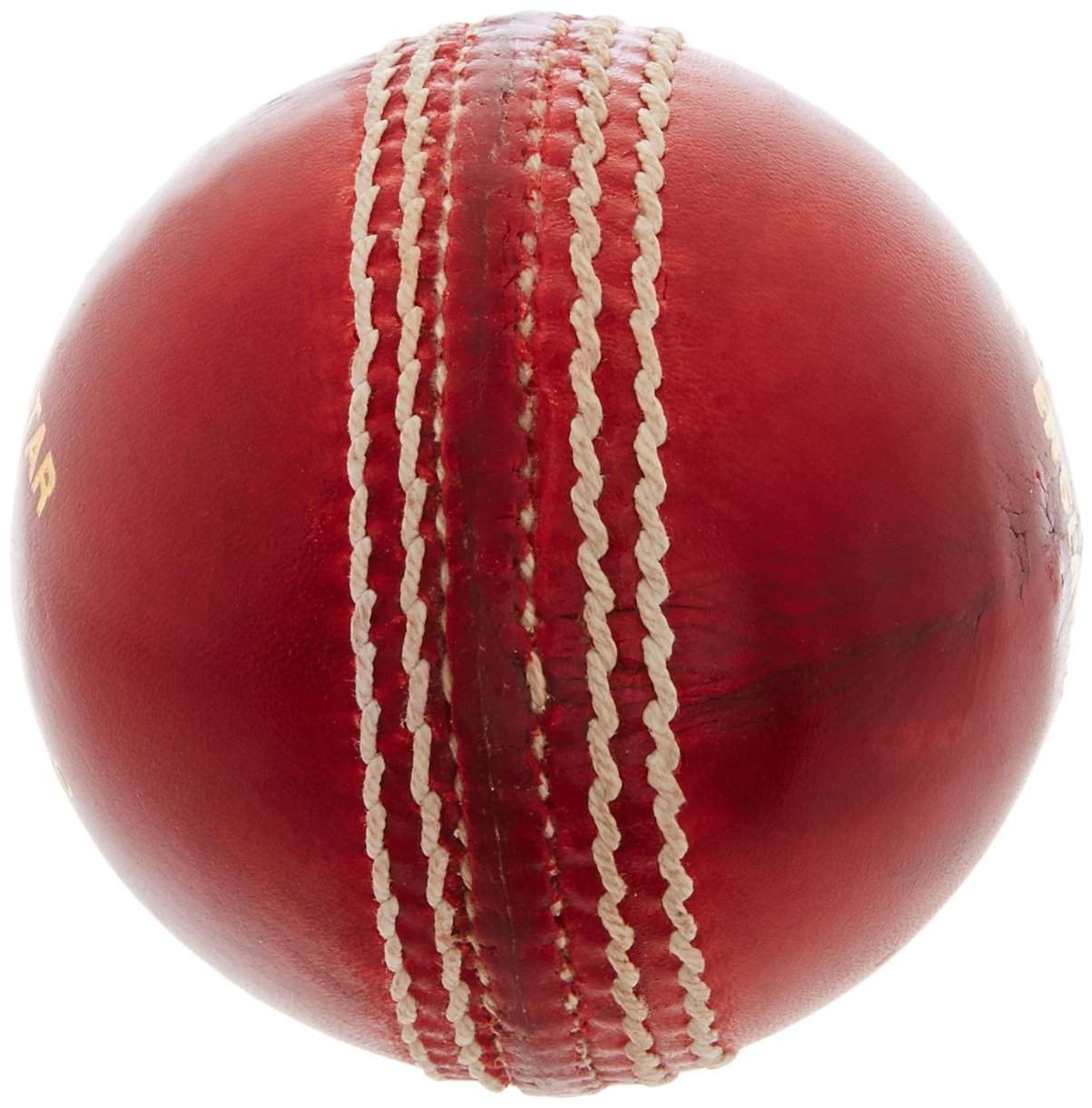 Cricket Leather Ball Practice