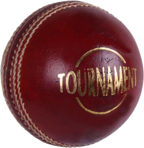 Cricket Leather Ball Tournament