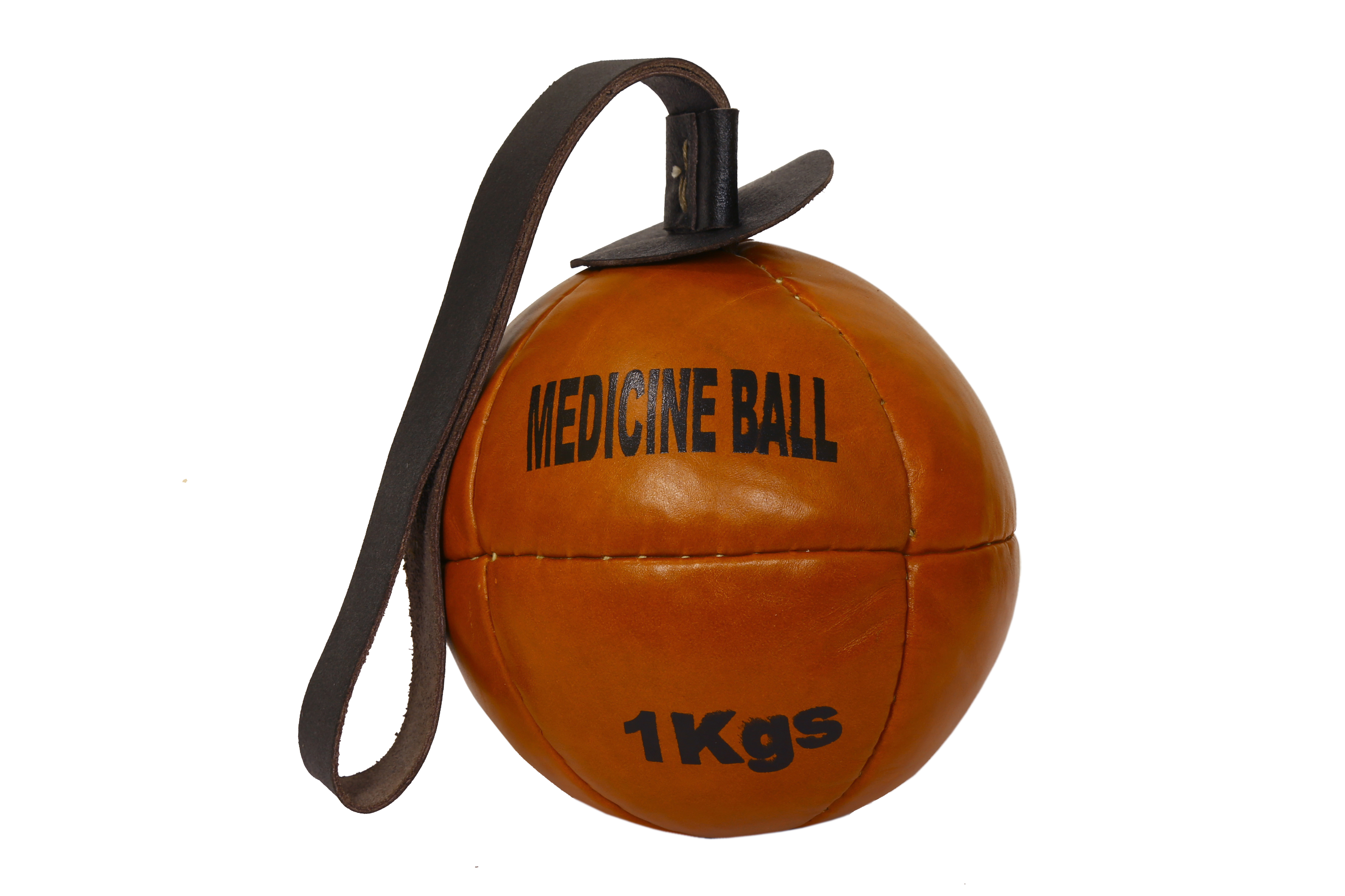 8 Panel Medicine Ball with strap