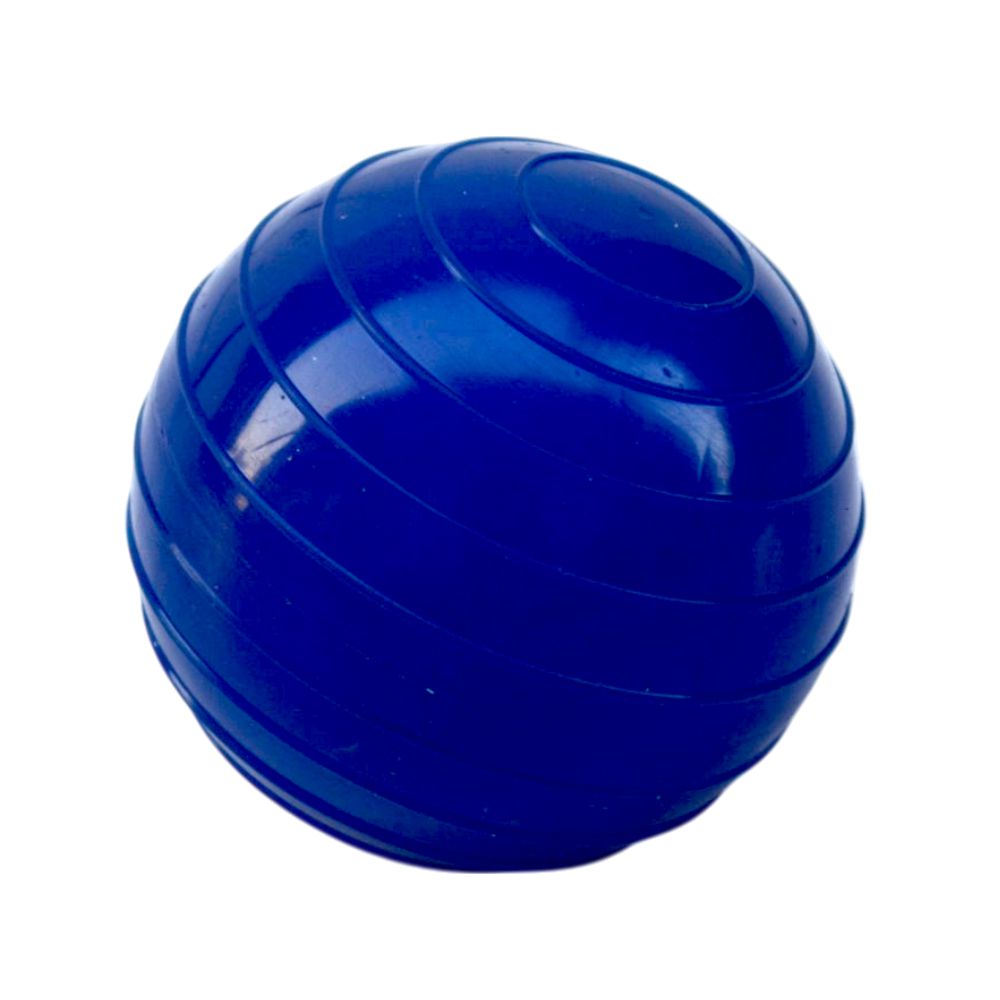 Elementary PVC Shotput