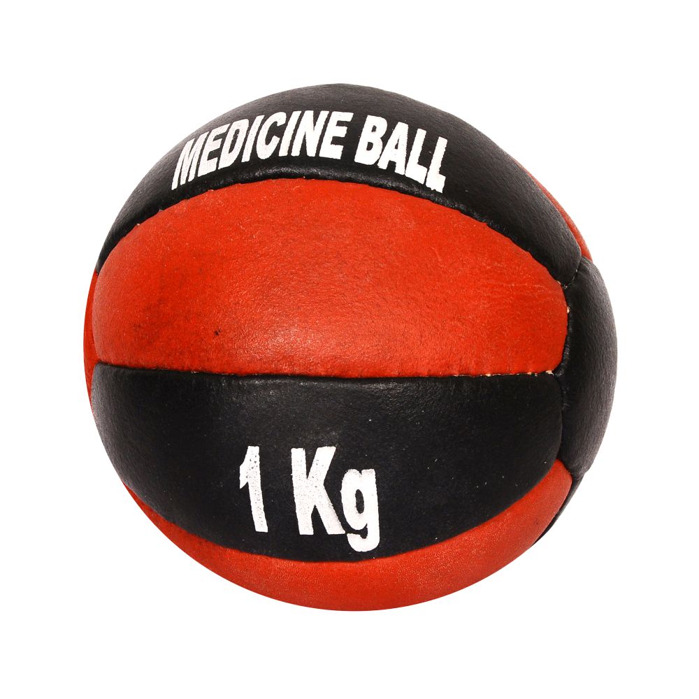 10 panel Medicine Ball - Dual Color