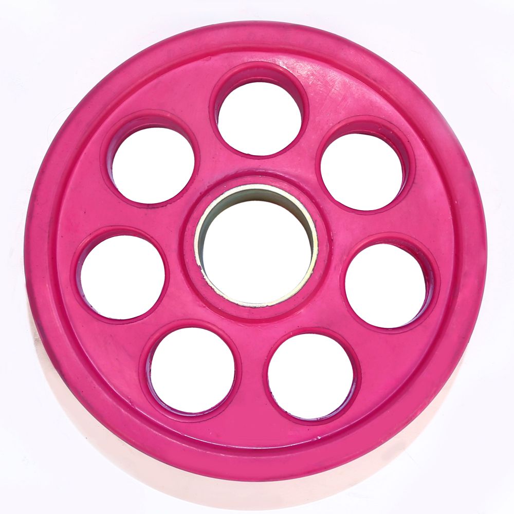 7 Hole Weight Lifting Plate