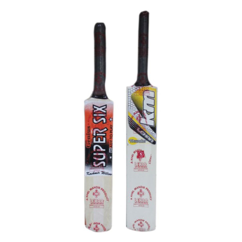 Popular Willow Cricket Bat